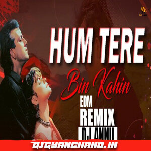 Hum Tere Bin - EDM Love Remix Mp3 - DJ Annu Gopiganj